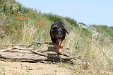 BEAUCERON 254